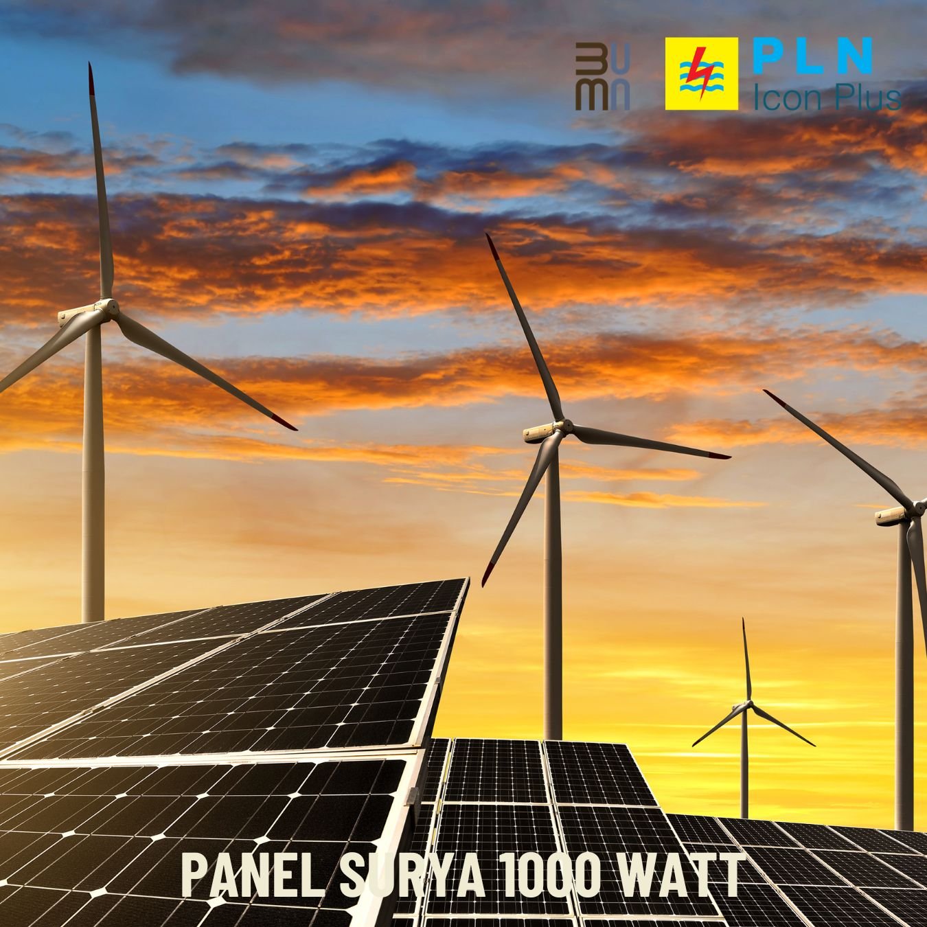 Panel Surya 1000 Watt