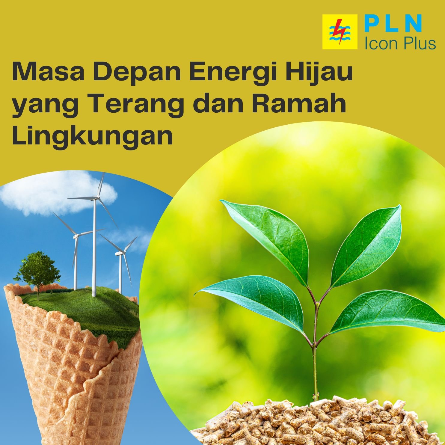 Masa Depan Energi Hijau yang Terang dan Ramah Lingkungan