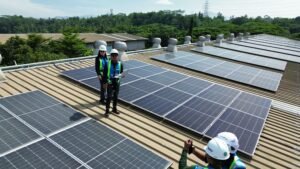 Energi Surya dan Transformasi Bisnis: Mengapa Perusahaan Modern Perlu Berinvestasi pada PLTS